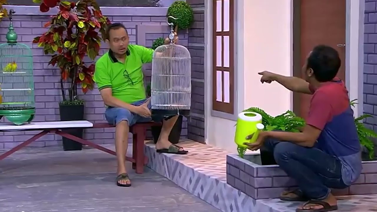 Cak Lontong piara burung hantu