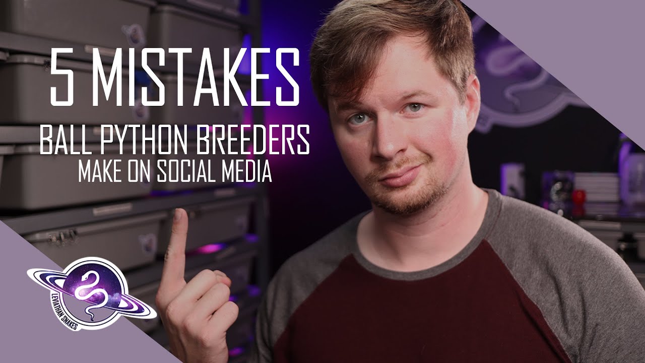 5 Mistakes Ball Python Breeders Make On Social Media