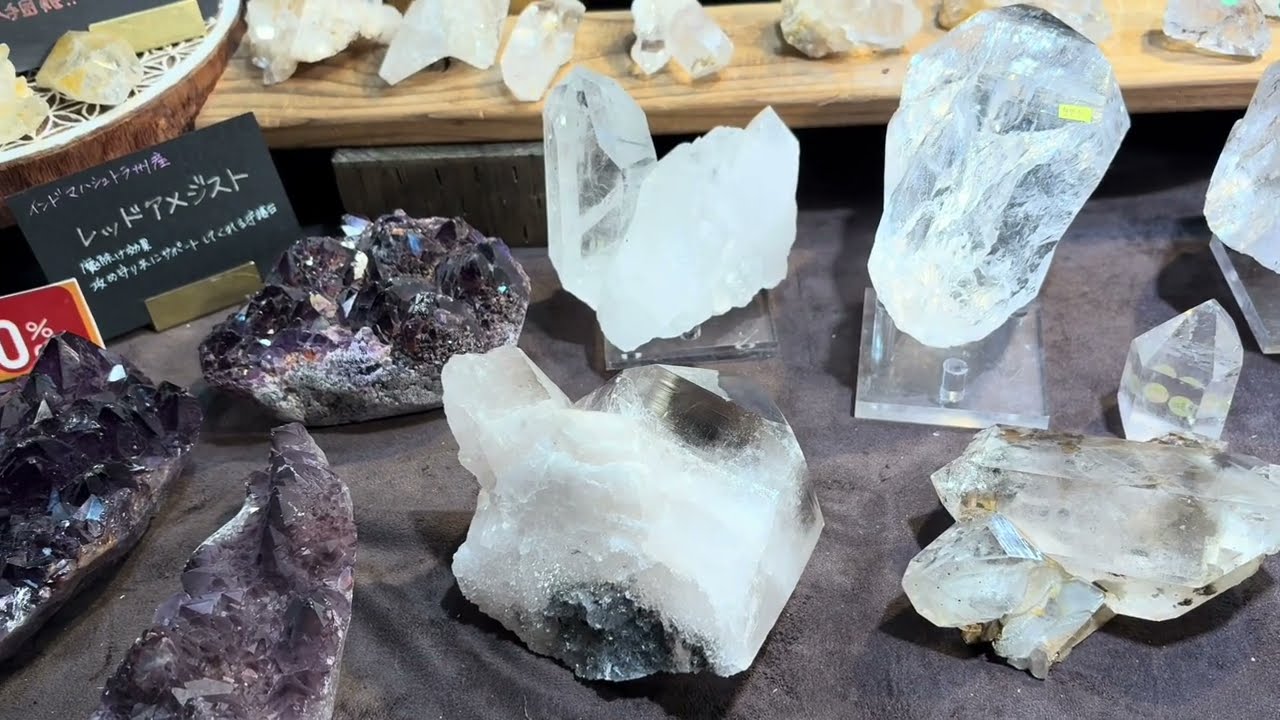 Minerals 番外104: 第2回原宿ミネラルマルシェ. 2026. 1.31. 付入手標本.