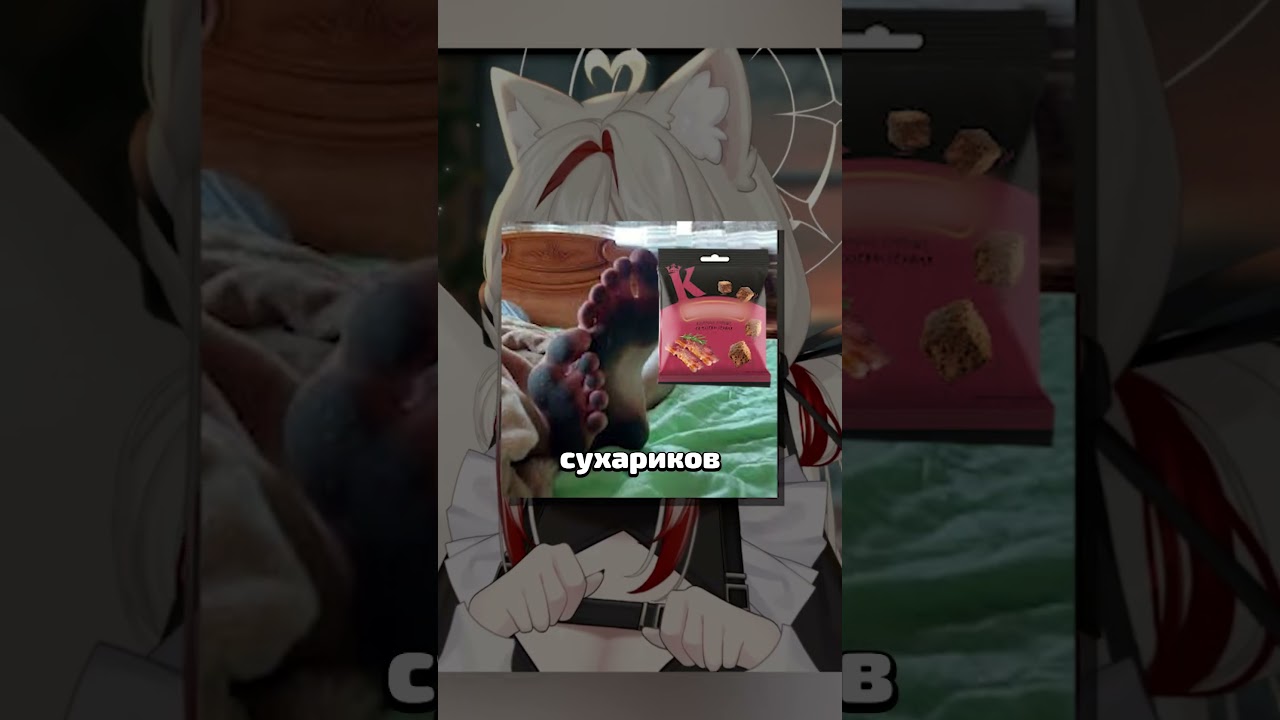 уникальная идея для мерча 2026 #ruvtuber #vtuber #втубер #meme #мем