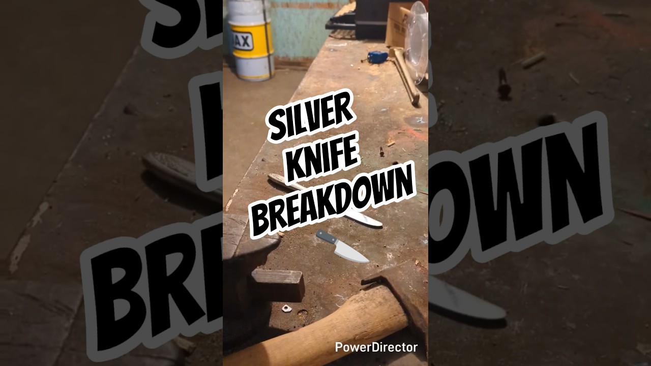 silver thrift knife breakdown short 2026 