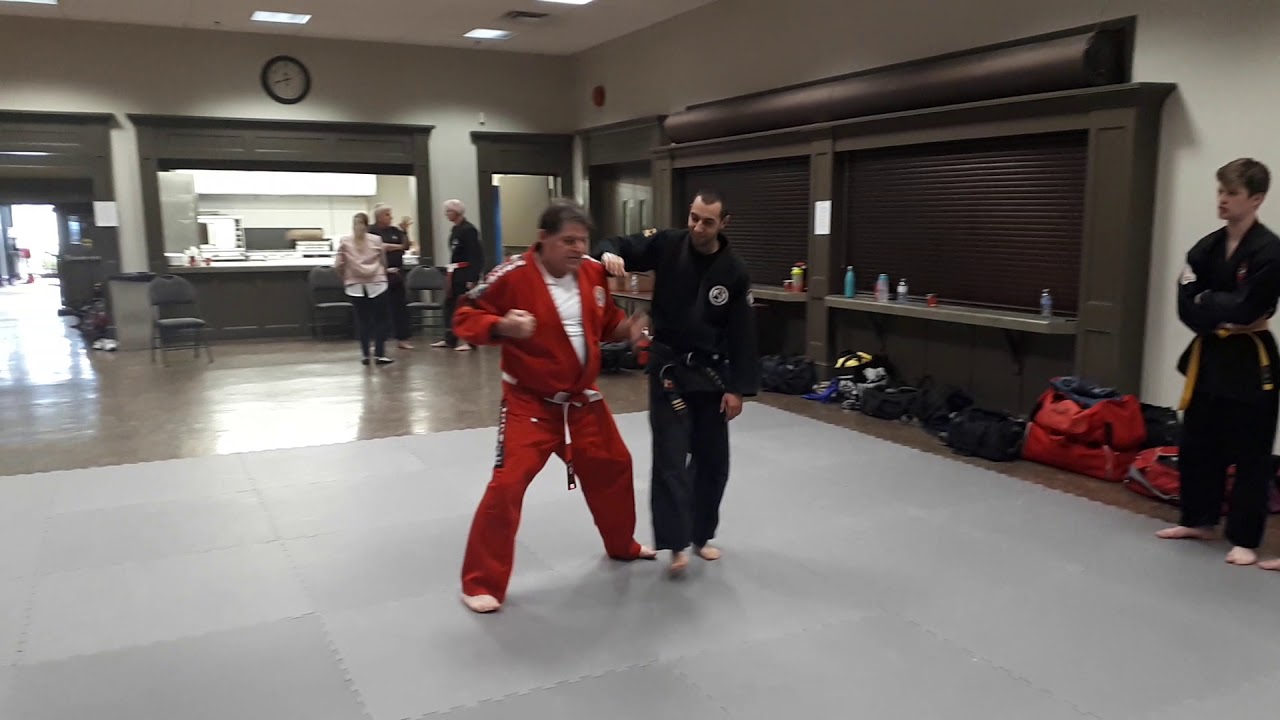 Shihan Mick Legg 1000 Islands Jiu-jitsu Symposium 6/14