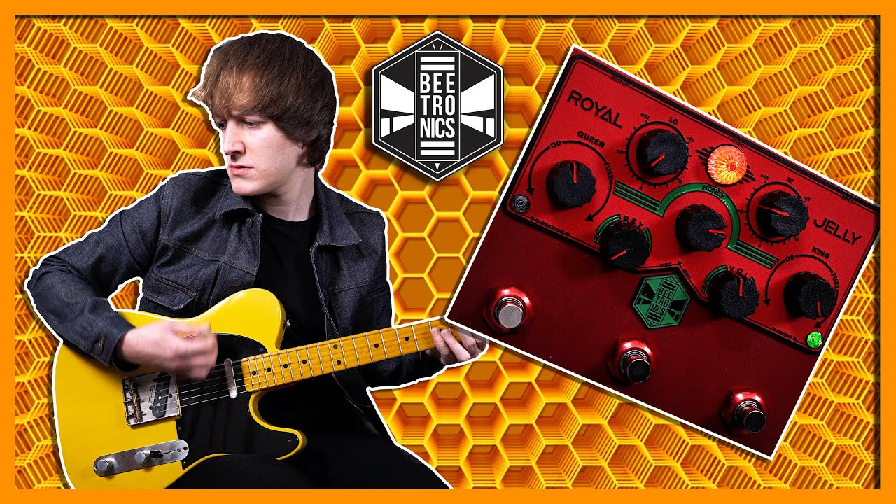 VINTAGE, BOUTIQUE, FUZZ AND OVERDRIVE TONES?! Royal Jelly | Beetronics Demo