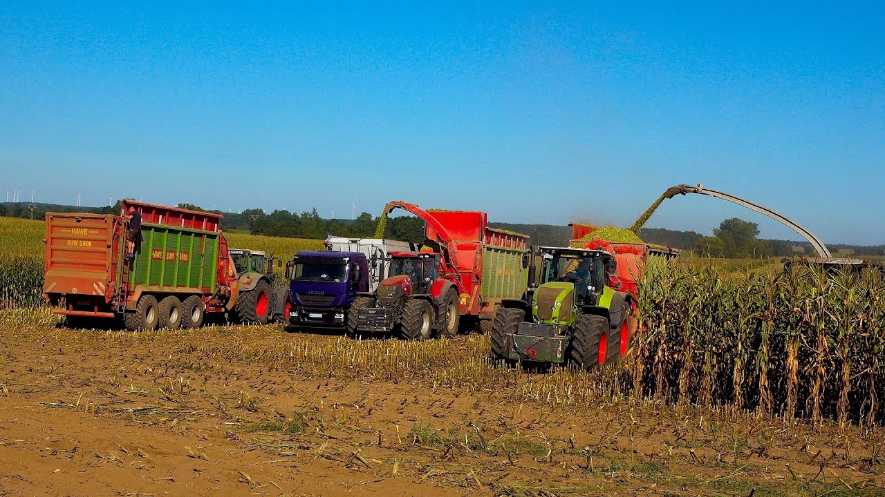Mais 2020 : Big Corn Harvest / HAWE SUW 5000 / Claas Jaguar 980 / Case Puma / Xerion / Fendt / Maize