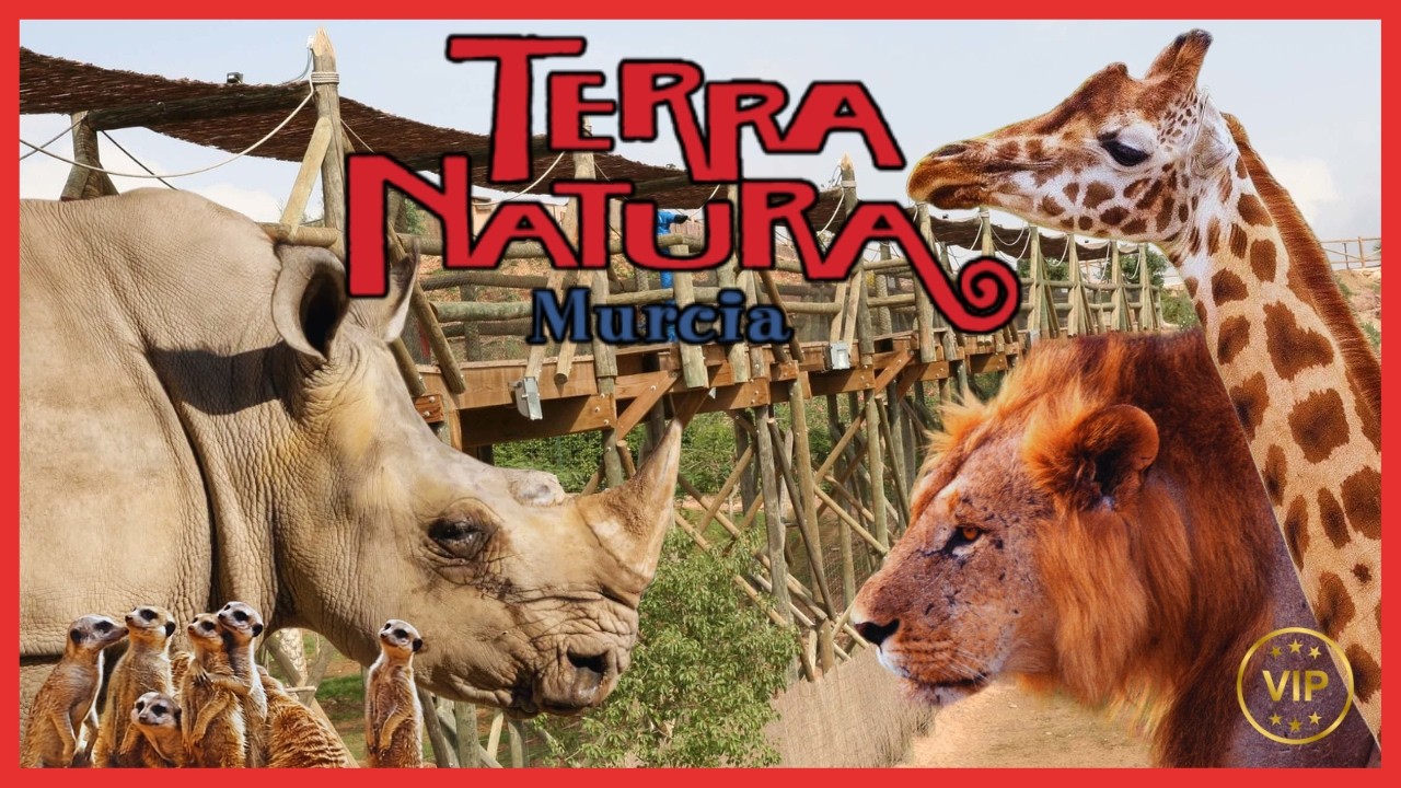 🦁 TERRA NATURA MURCIA 🦁| Experiencia VIP con LEONES | Zoo TOUR