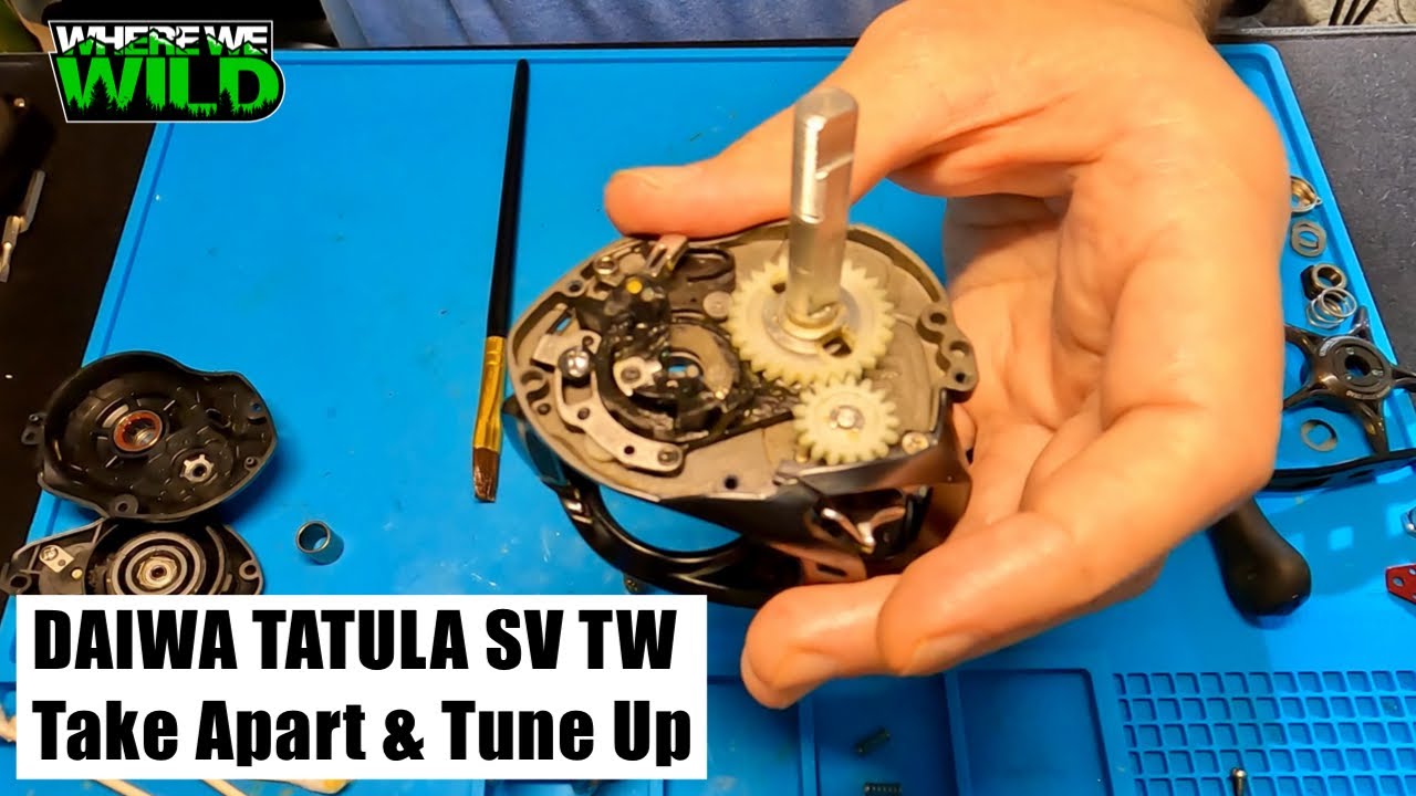 Катушка для кастинга Daiwa Tatula SV TW — разборка и настройка — обслуживание рыболовной катушки