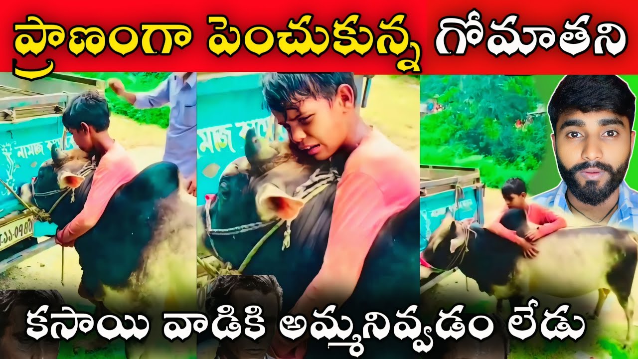 ఒకరోజు ఈ అబ్బాయి ఏంచేశాడో చూస్తే ఖచ్చితంగా ఆశ్చర్యపోతారు || Most Viral Videos ||Mr Akhil Raj Respect