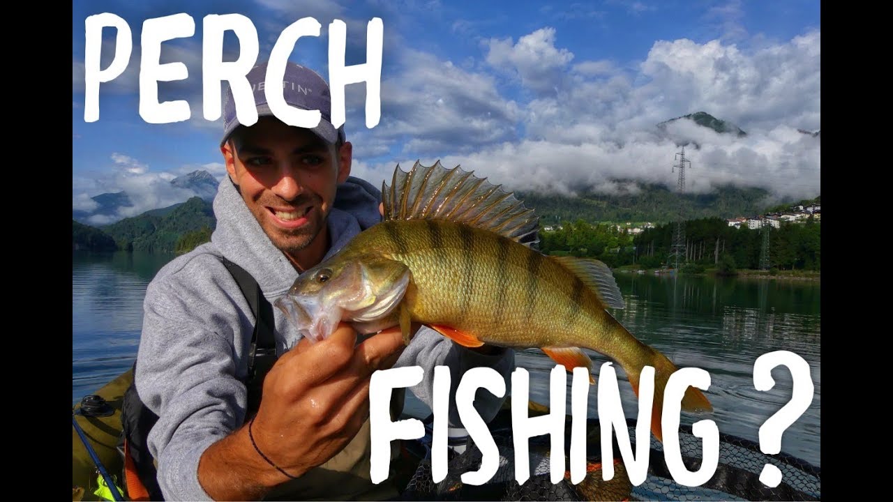 PESCANDO I PERSICI REALI NON SAI MAI COSA PUO' SUCCEDERE !!! ( LUCCI OVUNQUE )