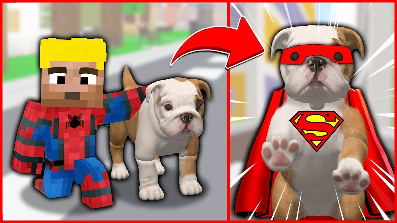 У ЭФЕКАНА ЕСТЬ СУПЕР СОБАКА! 😱 - Minecraft: ЖИЗНЬ В БОГАТСТВЕ И БЕДНОСТИ!