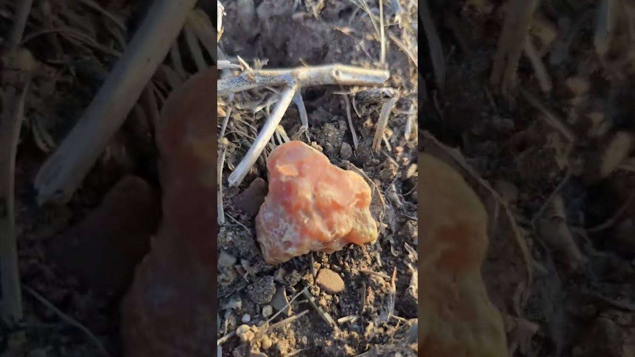 New Agate hunting tip! (Lake Superior)