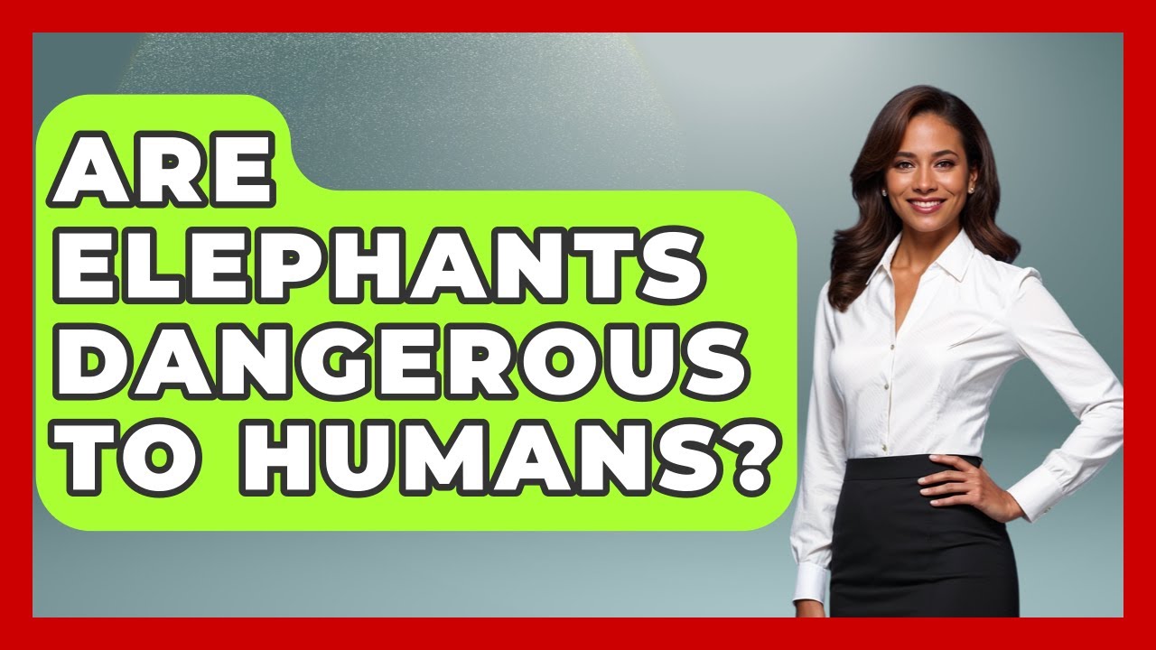 Are Elephants Dangerous To Humans? - The Wild Life Explorer
