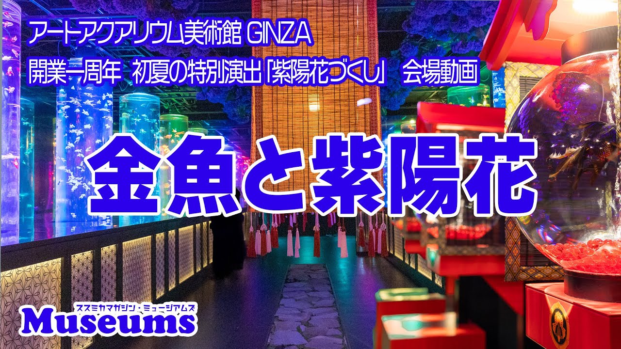 アートアクアリウム美術館 GINZA #開業1周年  無限回廊の没入アートで日本の風情を体験 #紫陽花 と#金魚 に癒やされる #銀座三越 #東京観光
