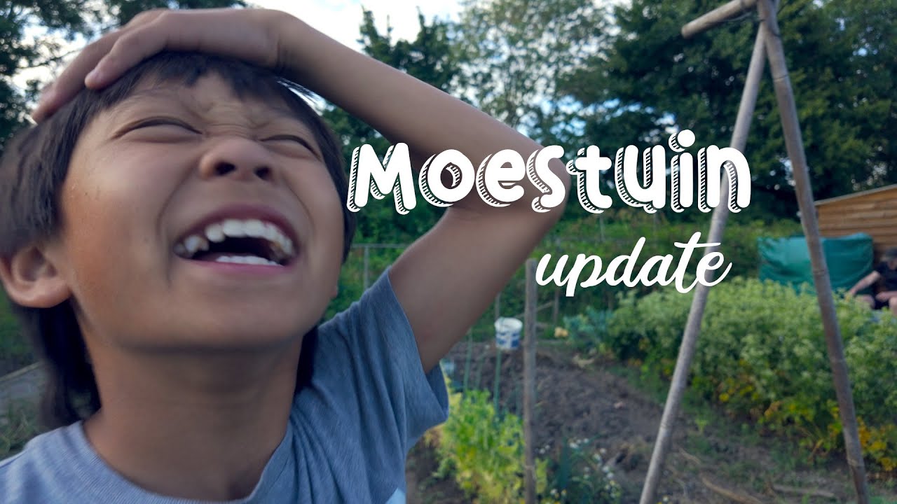 Moestuin Update #2 – De eerste oogst en groei-explosie! 🌱🍅