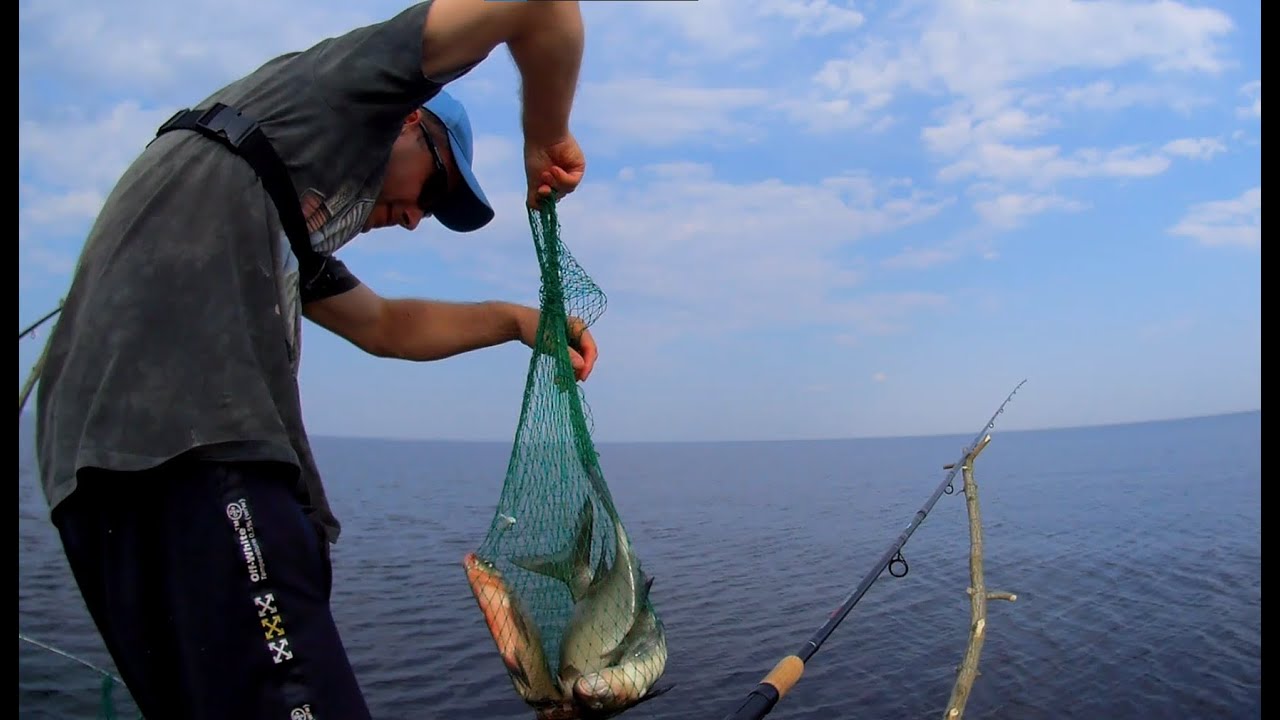 Рибалка на Київському водосховищі, лов ляща та підляща!