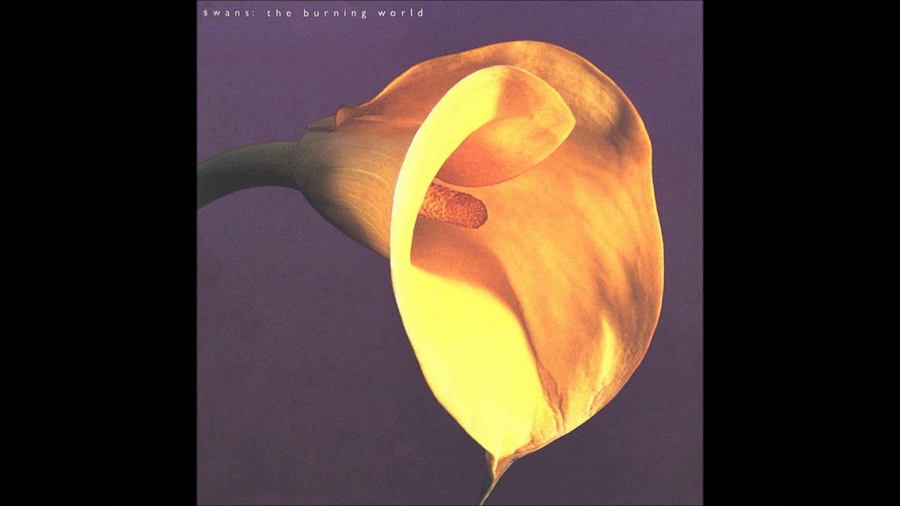 Swans - The Burning World
