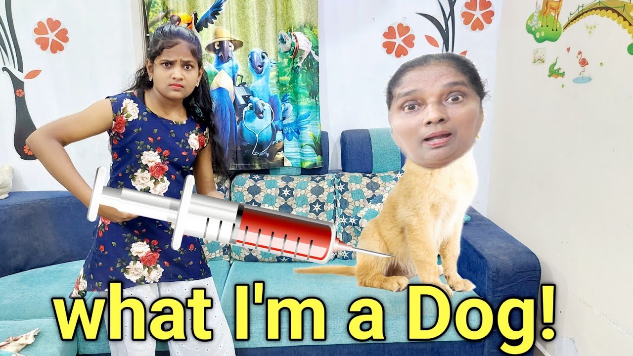 What I'm a dog ! | comedy video | funny video | Prabhu Sarala lifestyle