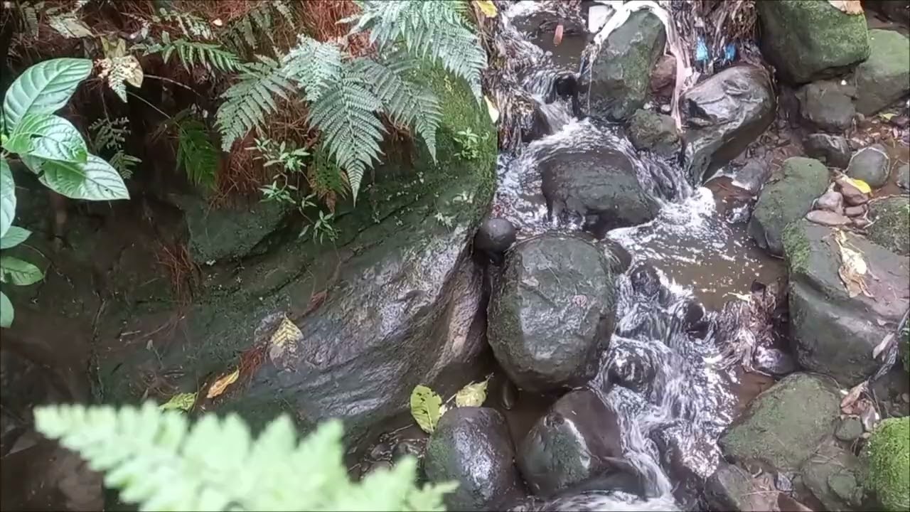 Strong River Flow ASMR 🌊 | Deep Relaxation Water Sounds (No Music)