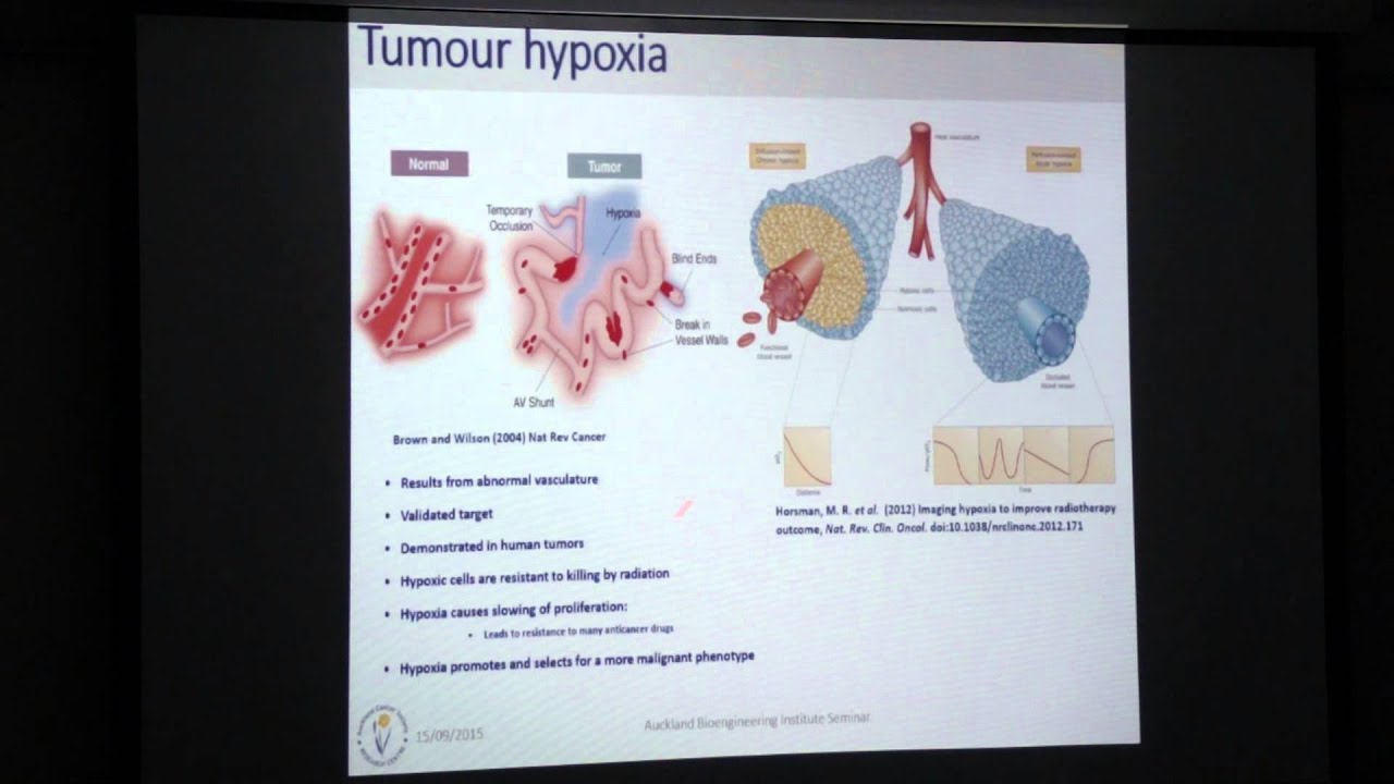 Modelling hypoxia activated prodrugs in vitro and in silico