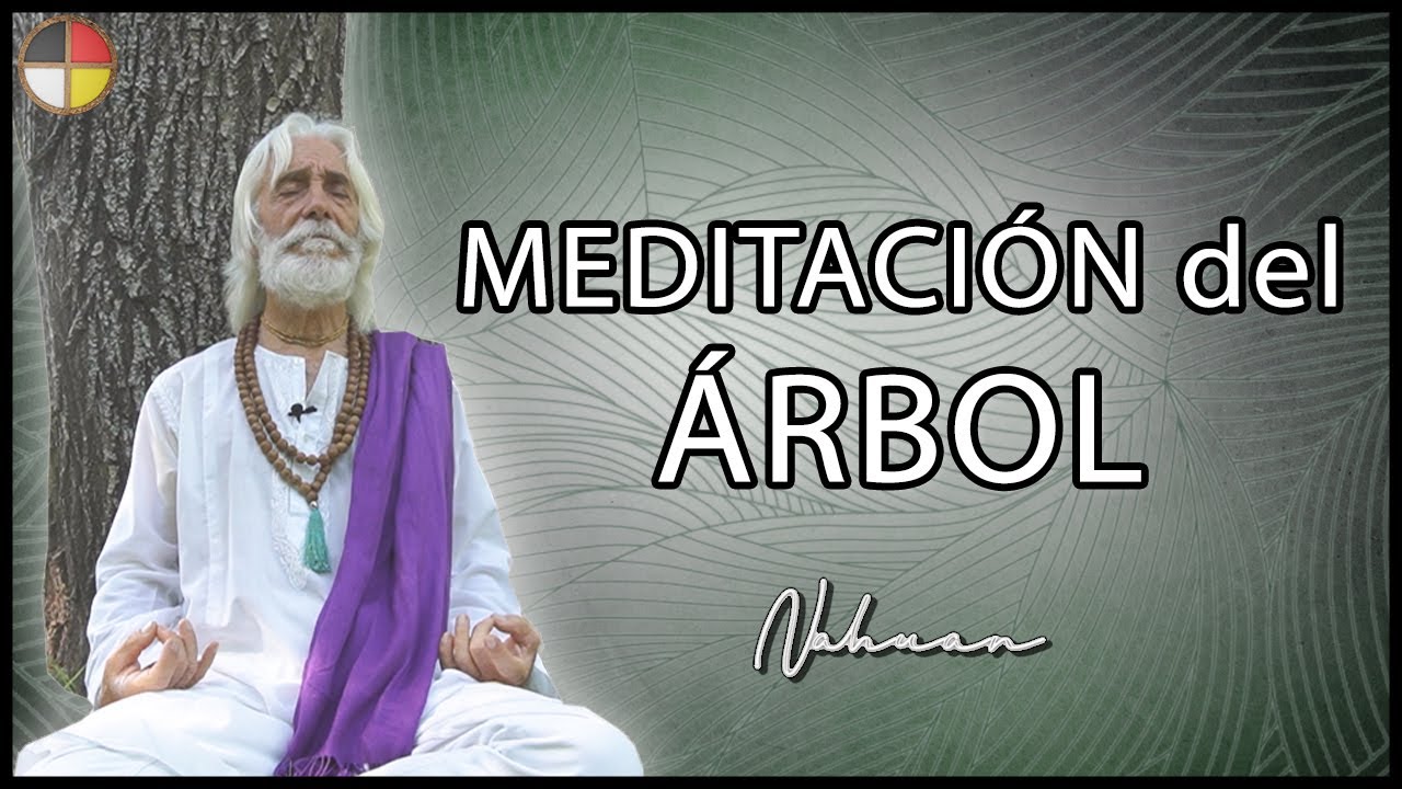 Meditación del Árbol - Sanación ancestral