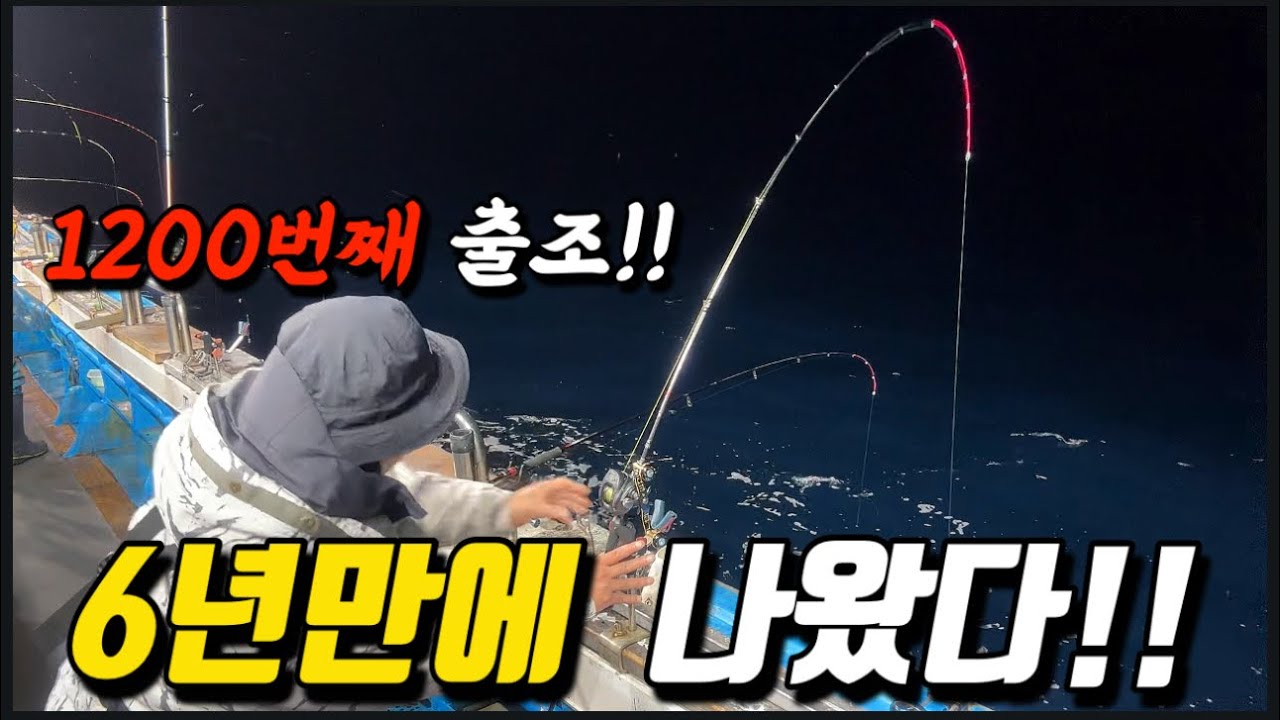 선상낚시 6년간 1200번 나가서 느낀 에기의 진실..