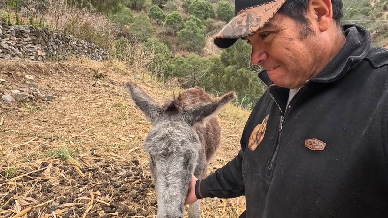 Tenemos que tomar una desicion con tordillo ! 