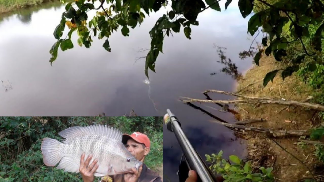 Paser mania‼️Nembak ikan berangkat pagi, hasilnya luar biasa ini sih sarang nila⁉️
