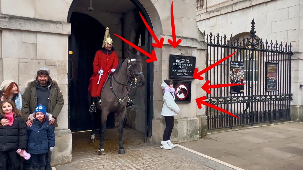 Furious King’s Guard Yells: They Think It’s a Joke!