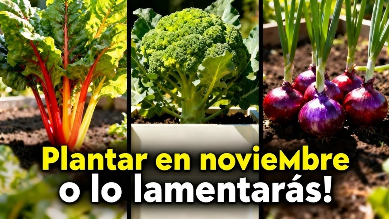 7 cultivos súper productivos que debes plantar en noviembre (¡antes de que sea tarde!)