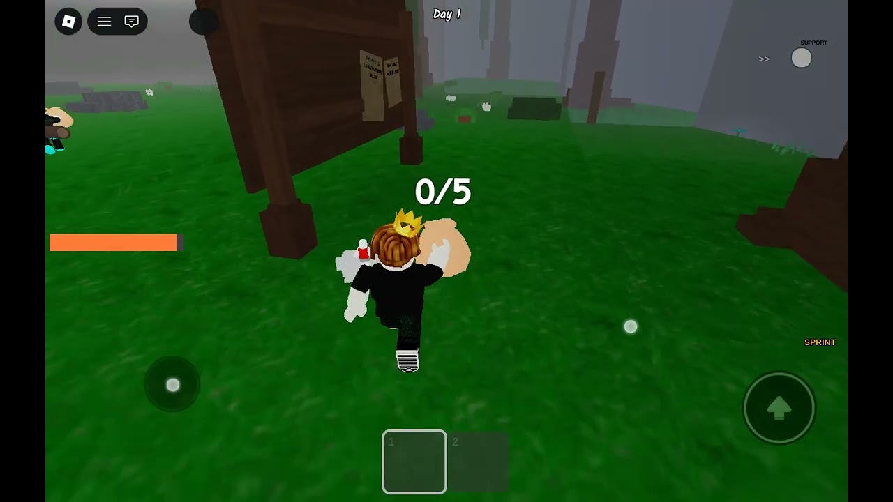 Me playing 99 nights in the forest with my freind
