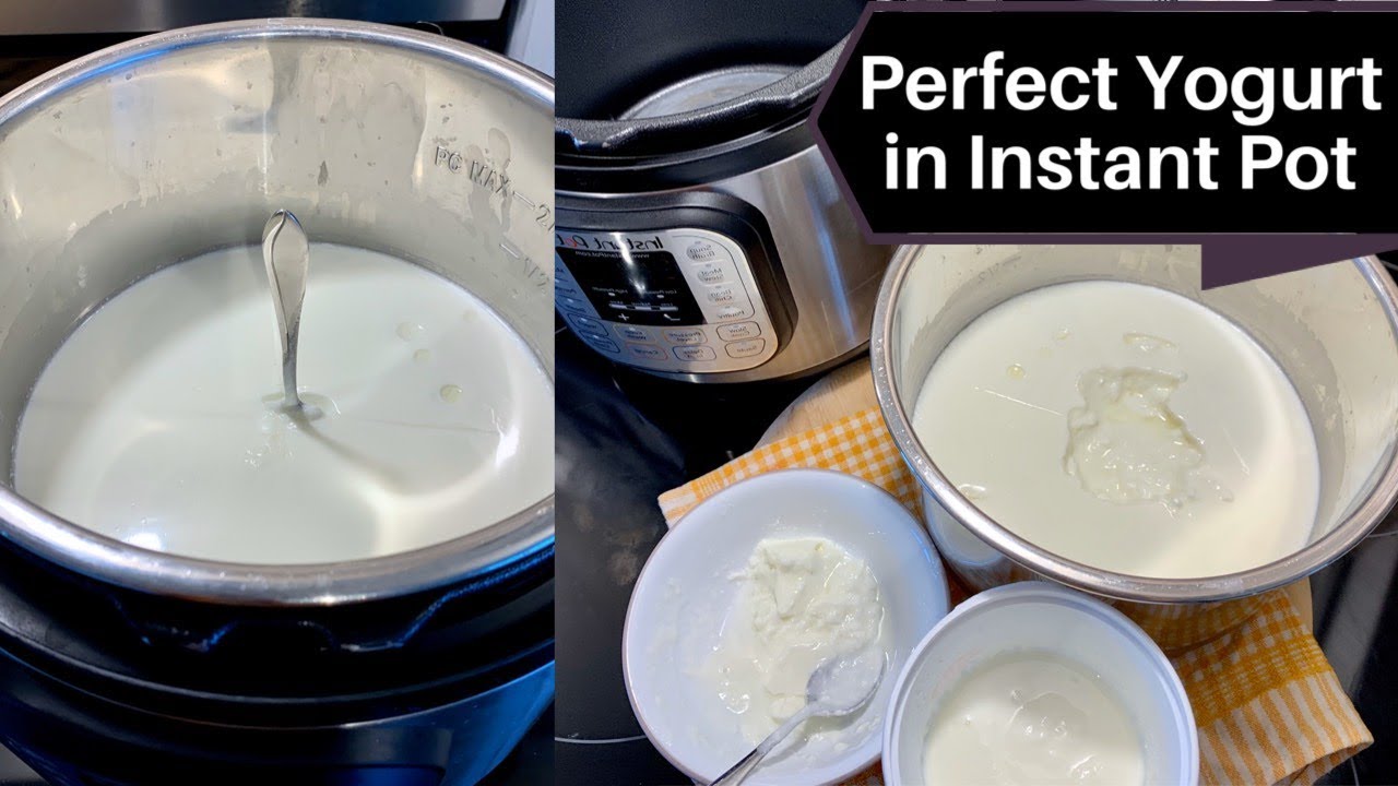 Instant Pot Yogurt Recipe | Dahi in Instant Pot | Instant Pot Yogurt Indian Style