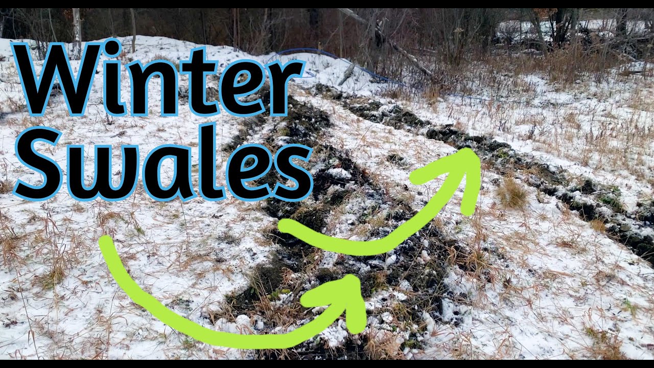 Swales on Contour - Nice work for a winter day