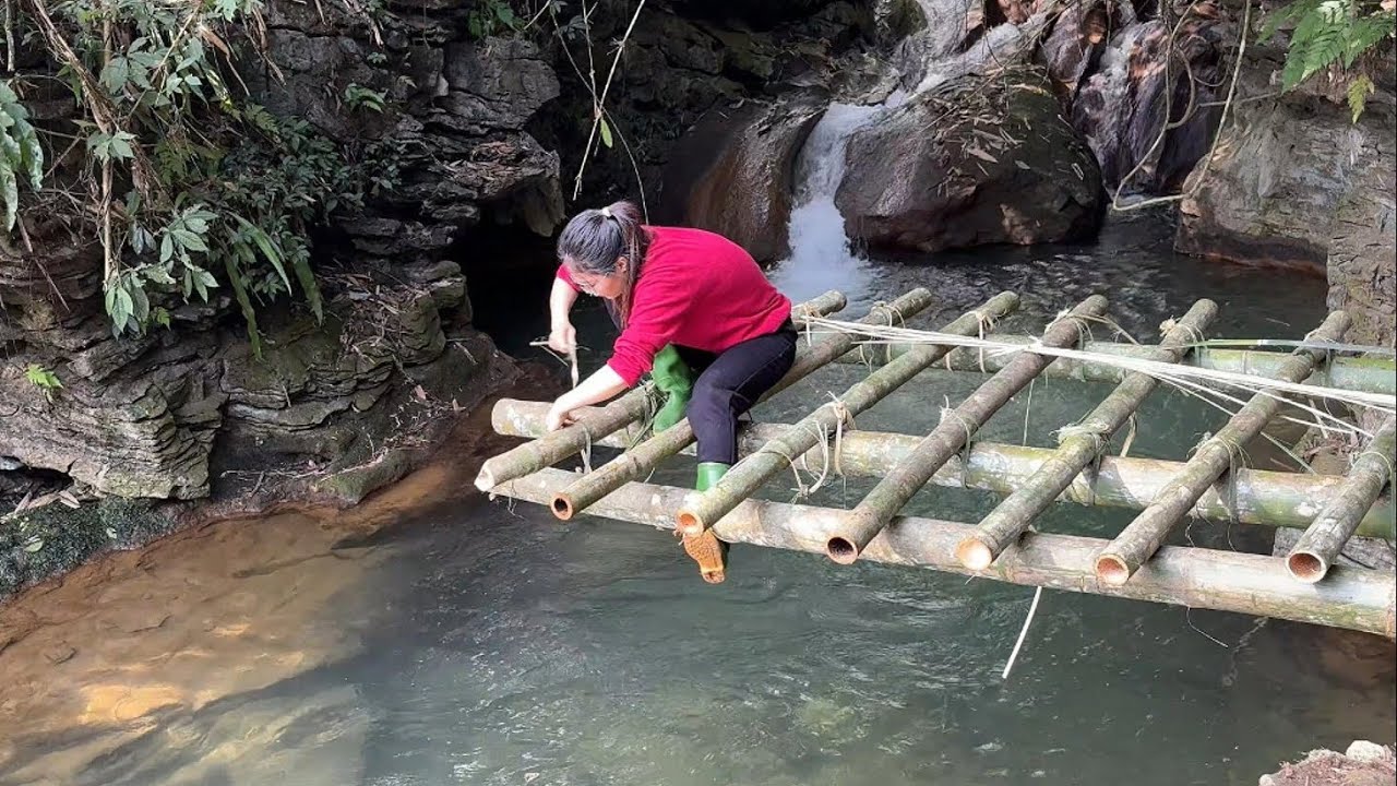 Build a water shelter in the rainforest and already look forward to summer 2024