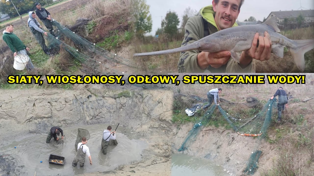 CIĄGAMI SIATAMI  I SPUSZCZAMY WODĘ W STAWIE