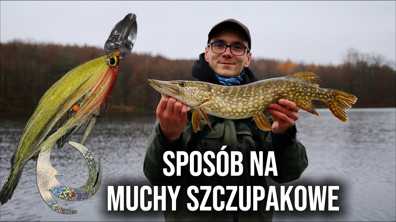 Jak rzucać Muchami Szczupakowymi na Spinning? - Dobb Daddy | Jesienne szczupaki z płytkiego jeziora 
