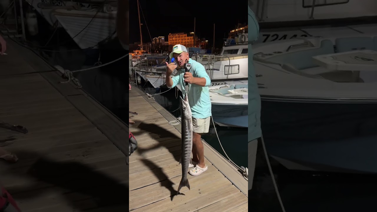 New fishing vlog on YouTube 👍🏼 #fishing #israel