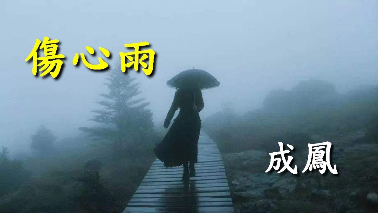 傷心雨                                                                                 成鳳  演唱