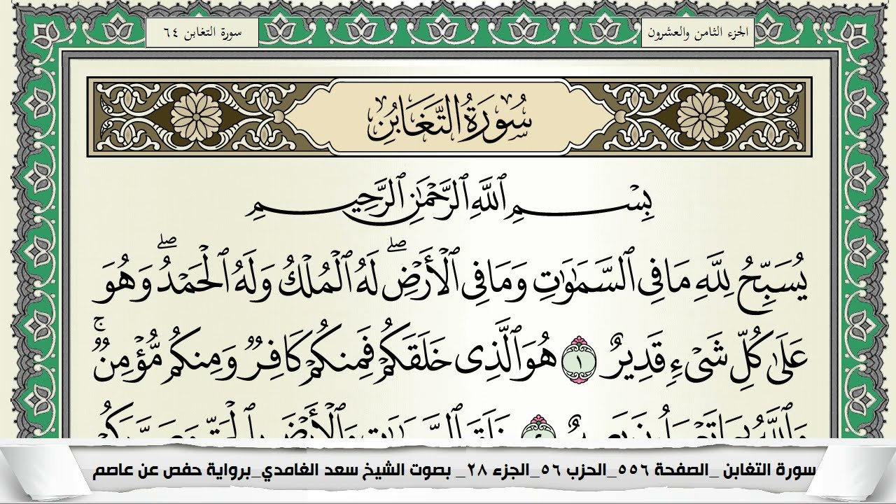 سورة التغابن | سعد الغامدي