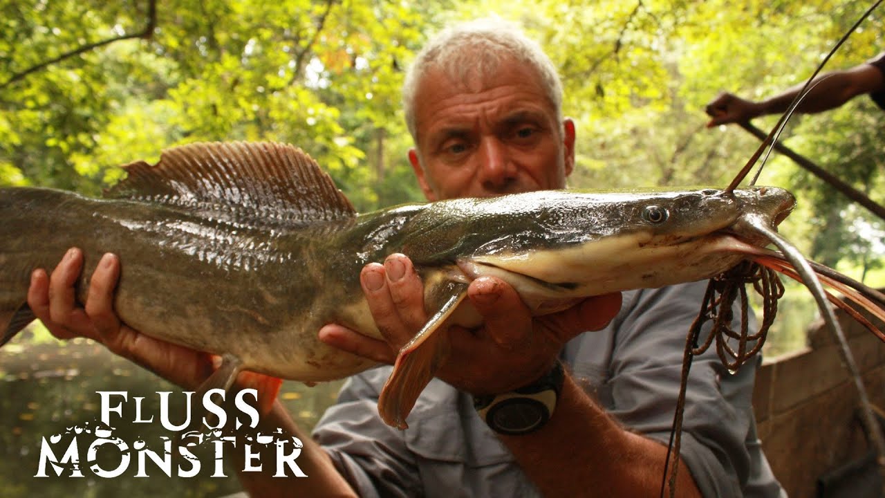 Der Kamba-Wels: Die schreckliche Legende von Mami Wata | S2 E06 | Fluss Monster