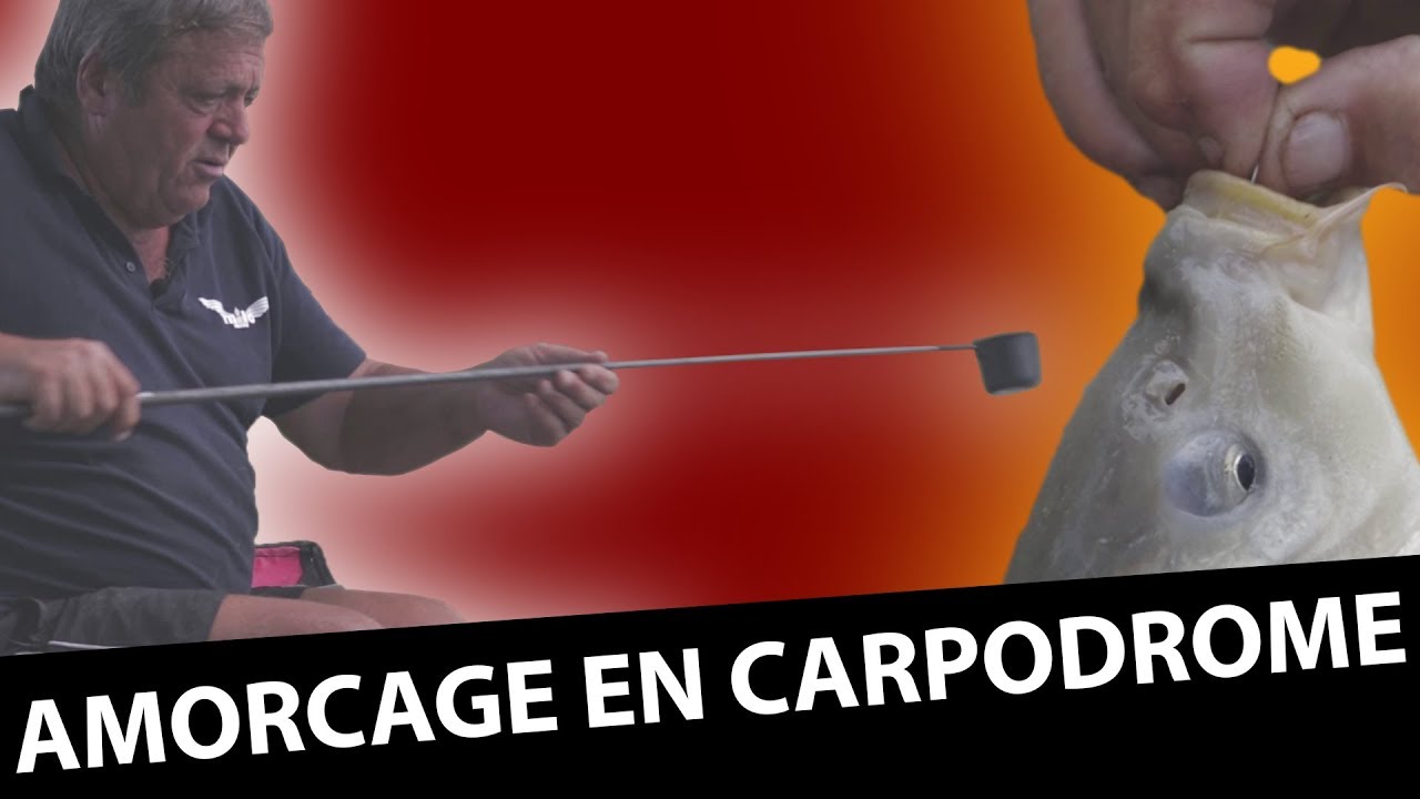 Amorçage Polyvalent - Pêche en Carpodrome -  Secrets de Gérard Trinquier