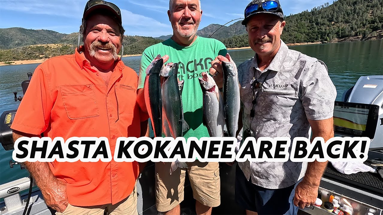 Shasta Lake Kokanee Fishing