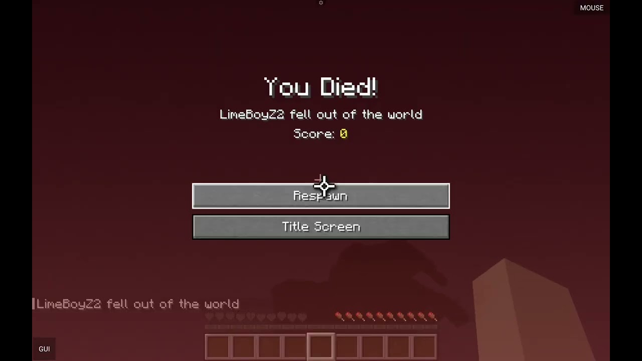 We killed the ender dragon