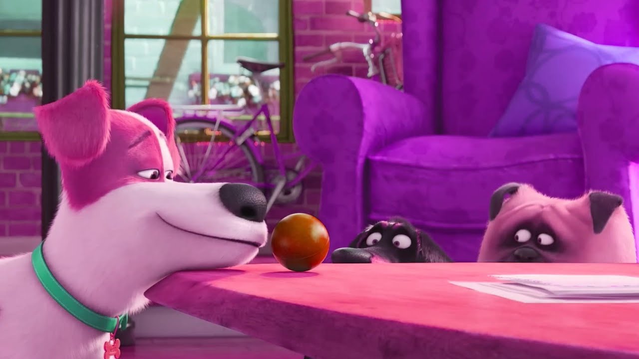 Pets2 - Guaranteed This is the Ball | Animation Sponsored by KlaskyCsupo 2001 Effects 