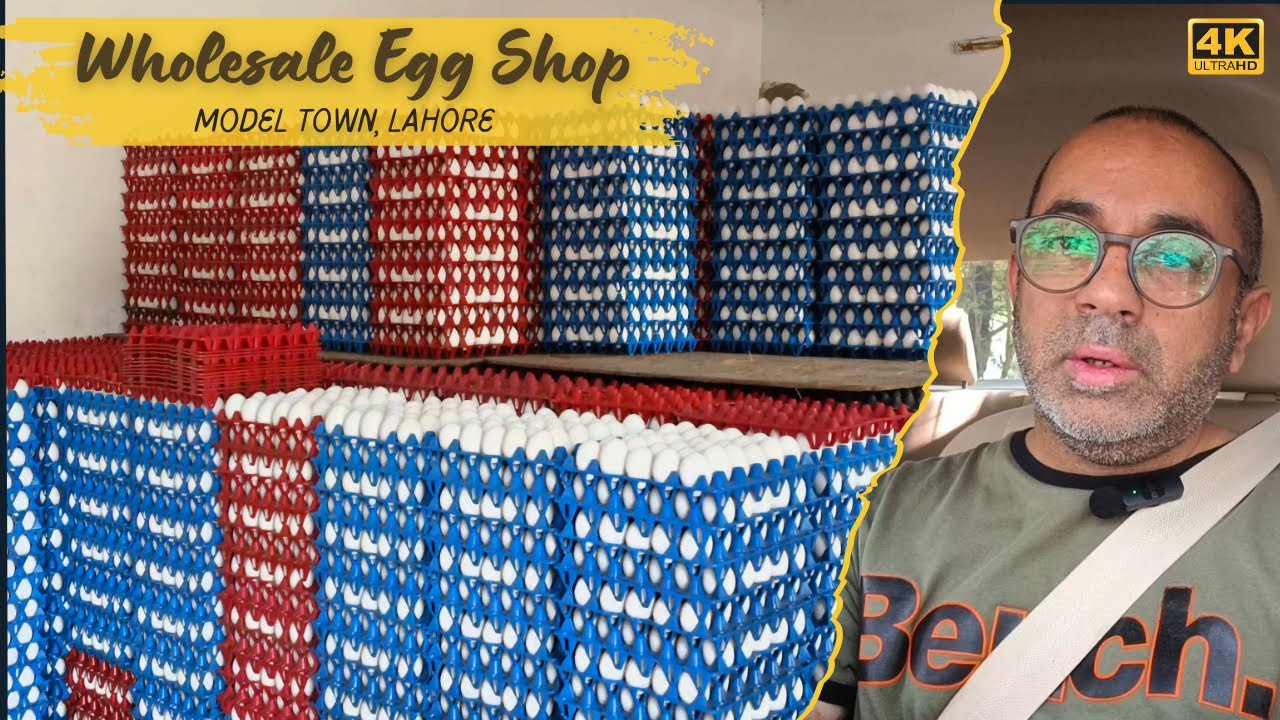 CHEAPEST Eggs Wholesale in Model Town 🥚 | Best Prices Revealed! | by AZ FLAMES