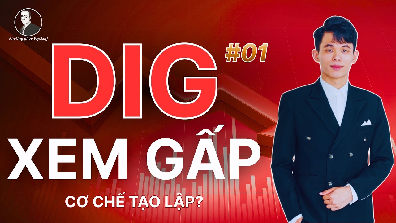 Cổ Phiếu DIG Xem Gấp Dấu Hiệu Nhà Tạo Lập? Phân Tích Theo Wyckoff | #01
