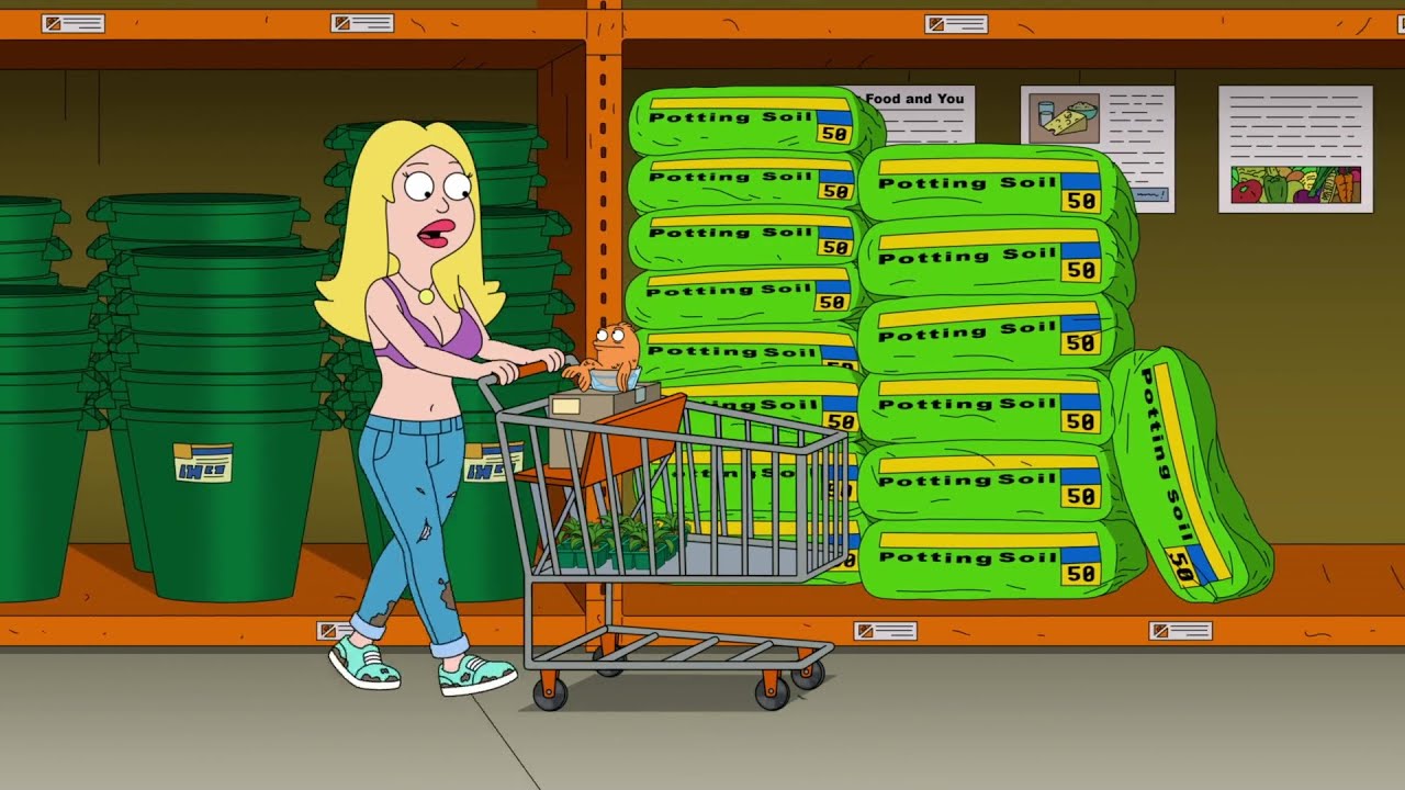 American Dad - I need a ride to Home Depot