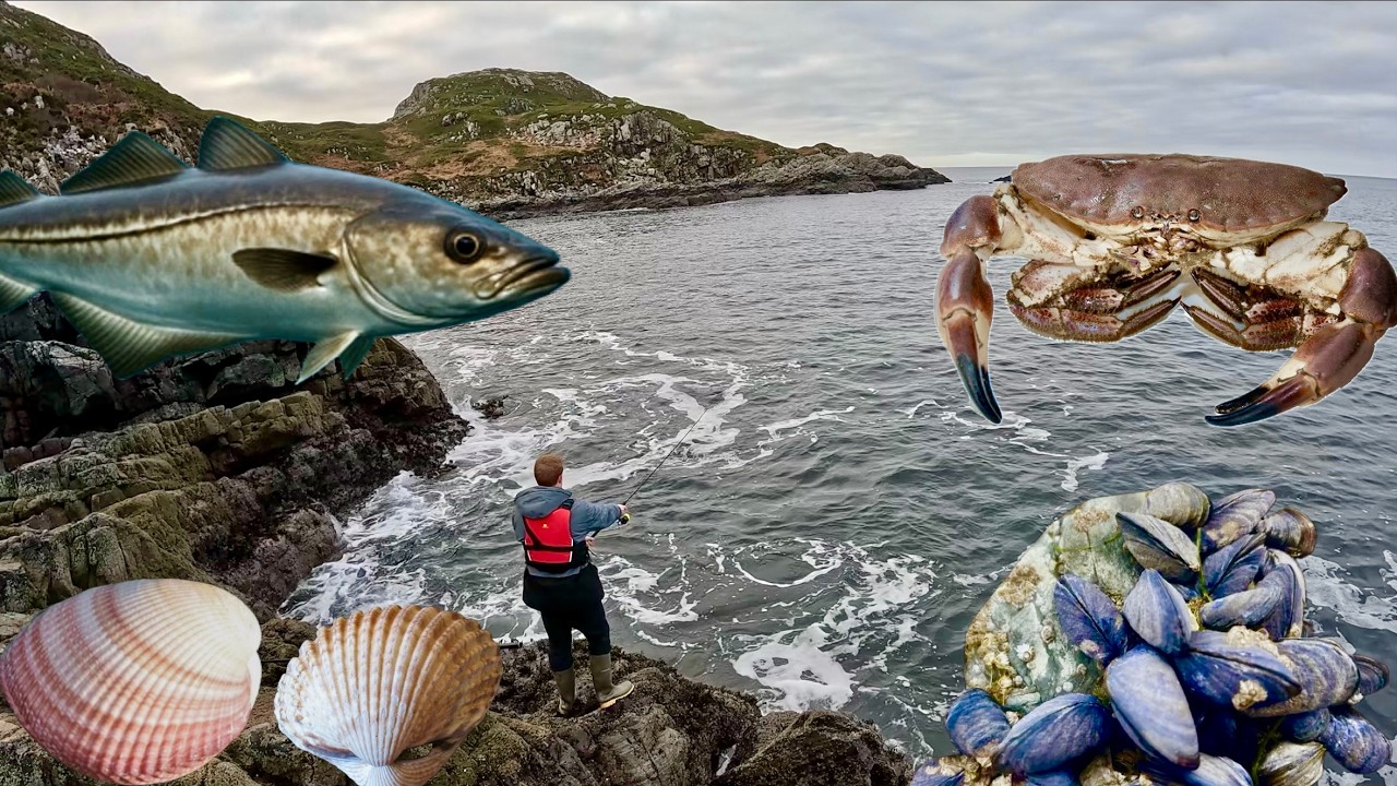 Delicious Seafood for Free! - Foraging & Fishing