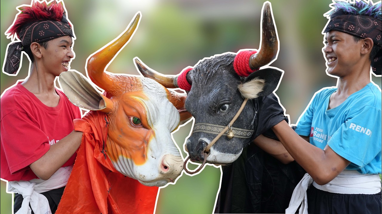 cerita singkat | SANG PEMBANTENG CILIK PECINTA SENI BANTENGAN MAU BATTLE BANTENGAN SAPI MBEROT