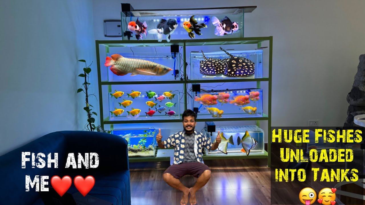 Huge Fish Stock Unloaded :❤️by Exploring Assam and Fishing