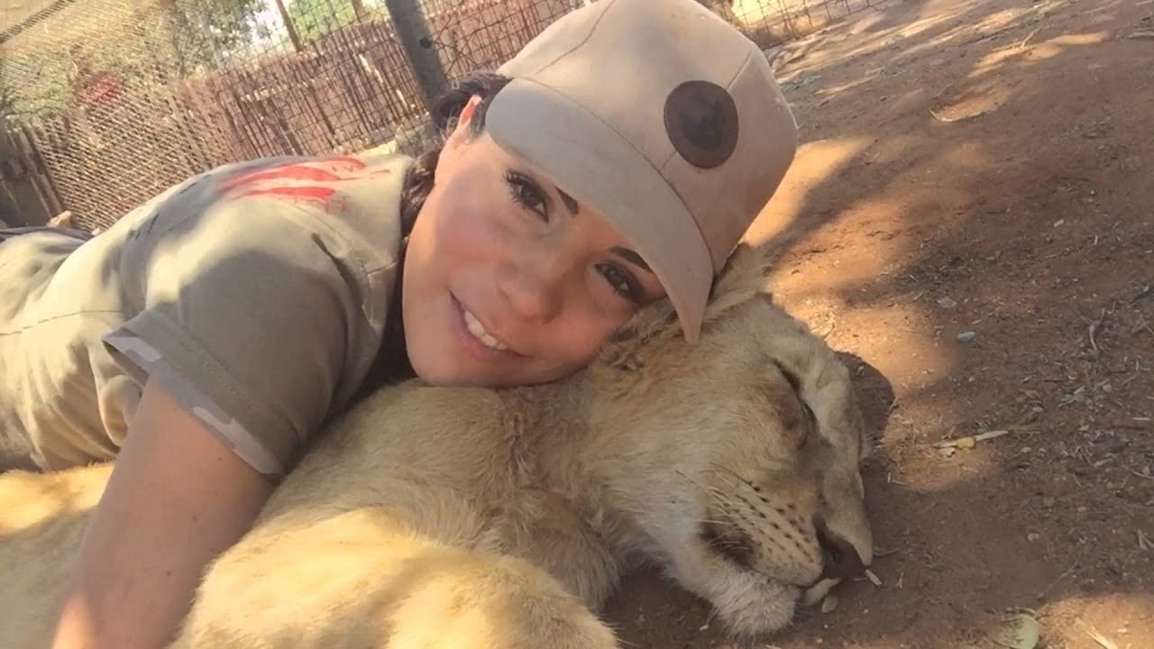 Volontariat Bébés Lions Afrique