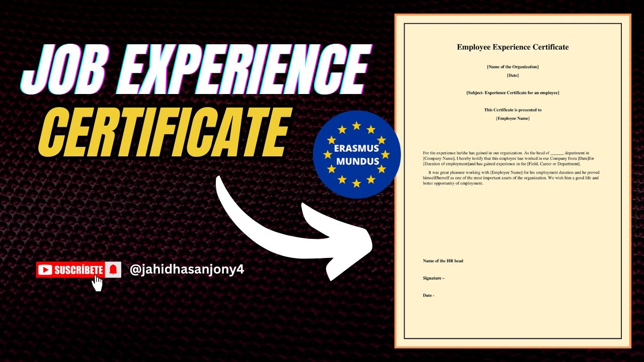 15. How to Write a Job Experience Certificate | Step-by-Step Guide with Template